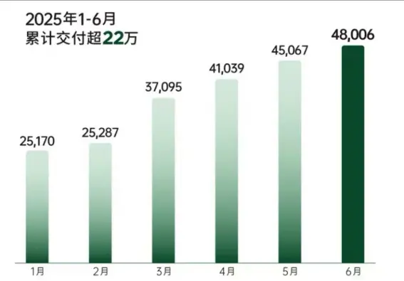 零跑汽车1~6月销量。图源：零跑汽车
