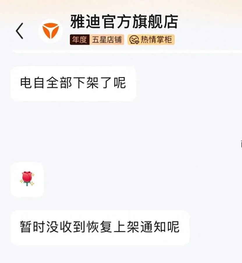 （京东雅迪官方旗舰店客服）